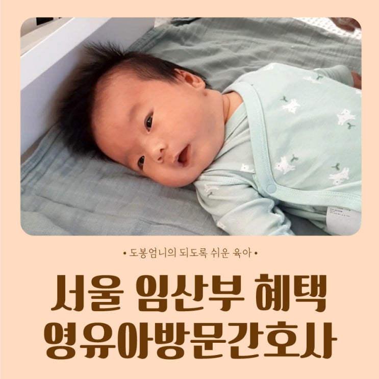 서울시 임산부 출산 혜택 영유아방문간호사 신청방법 후기