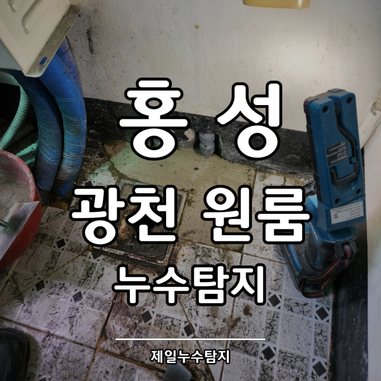  홍성누수탐지 광천 원룸 온수배관 누수