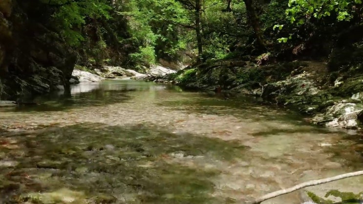  아동발달전문지도사 학점은행 , 아동발달전문지도사 자격증 합격 비법 총 정리