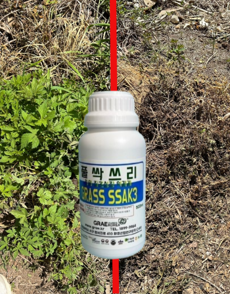 친환경 제초제의 효과는?! 풀싹쓰리33333