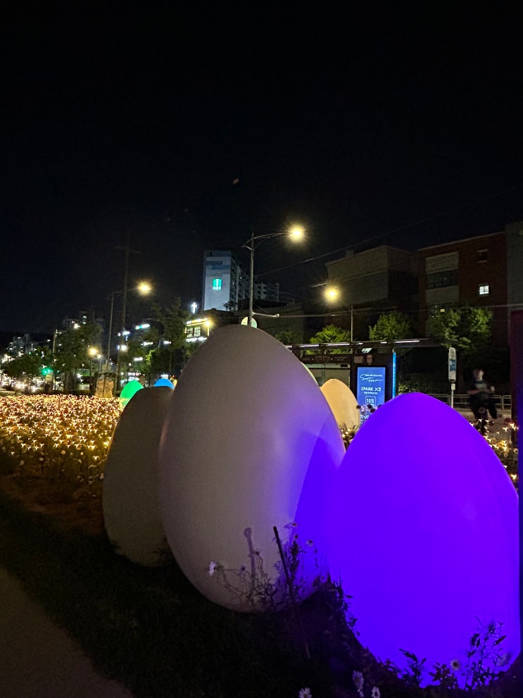  <2024 동대문구 정원 축제> 초화원 산책길