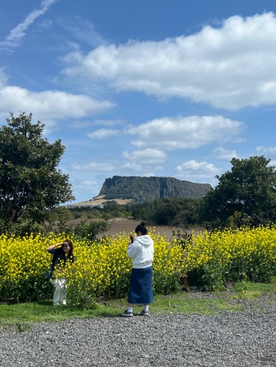 성산플라이오조카페
