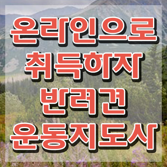  반려동물관리사 취업 직장인도 쉽게 반려견운동지도사자격증 취득했던 후기