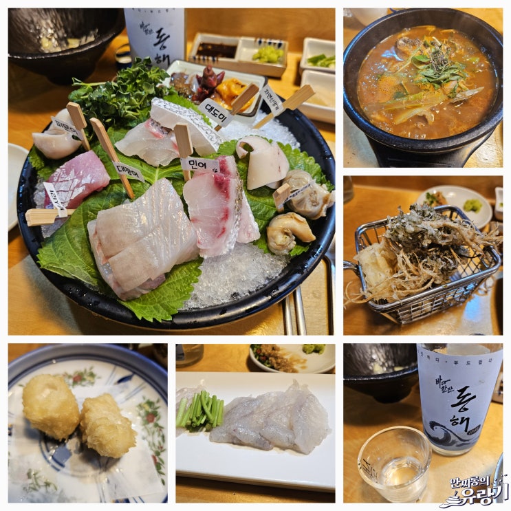  동해바다샾1971 강릉 제철 해산물 코스요리