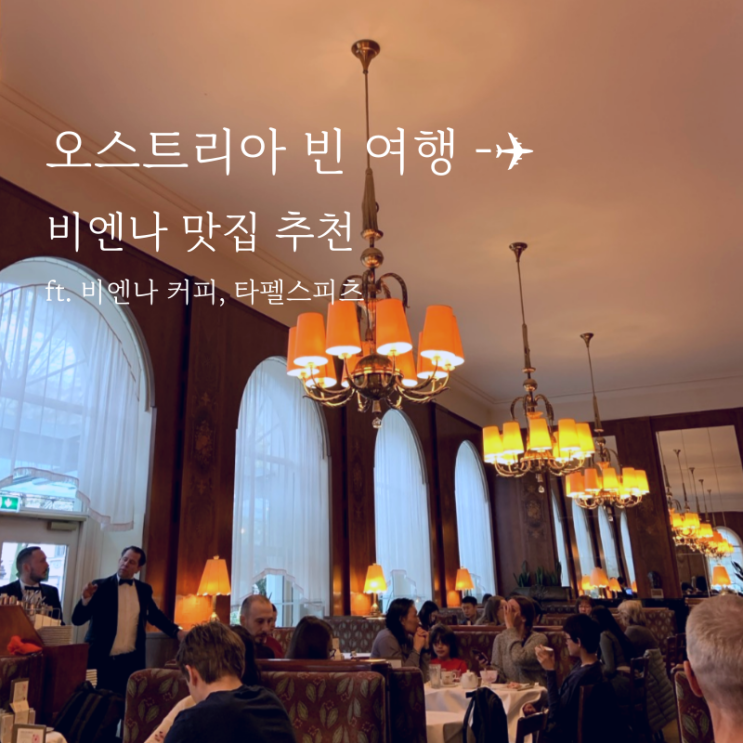  오스트리아 비엔나 맛집 비엔나커피, 타펠스피츠 추천 후기