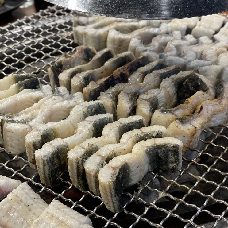  풍천장어 참숯구이 원주 진 장어 :: 도톰한 장어와 장어뼈 튀김 별미 맛집