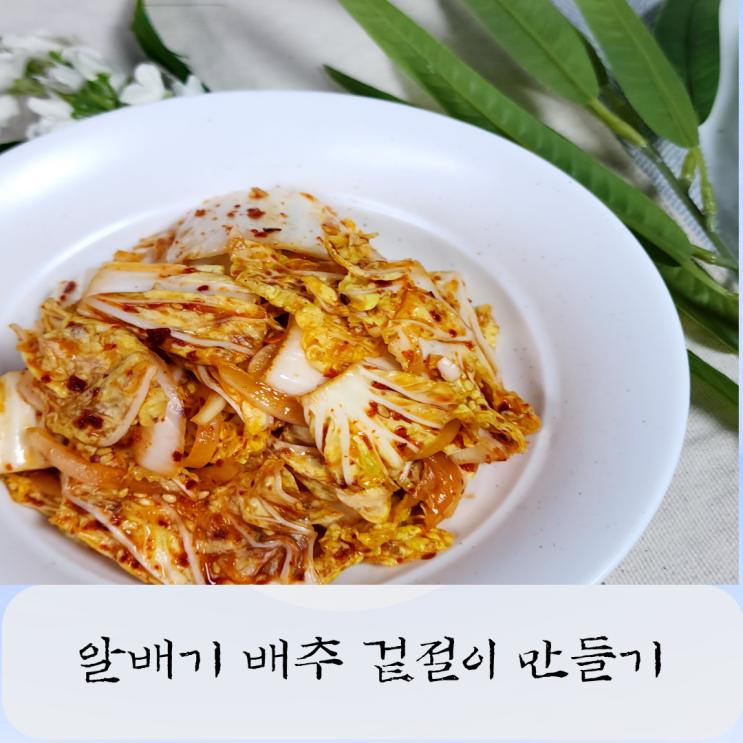  아삭한 알배기 배추 겉절이 만들기 양념 황금레시피