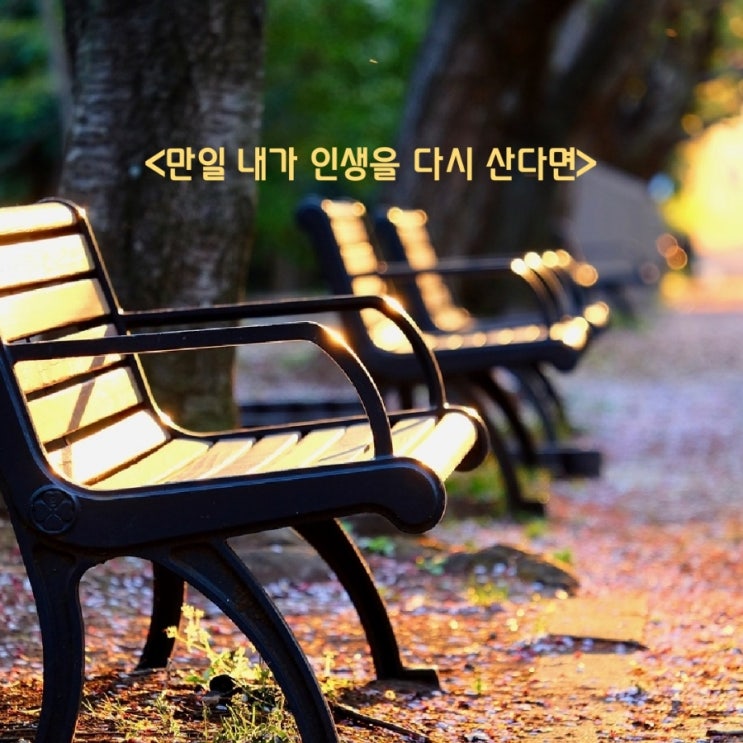 만일 내가 인생을 다시 산다면_ 나단 스테어 시 만일 내가 인생을 다시 산다면_ 나단 스테어 시