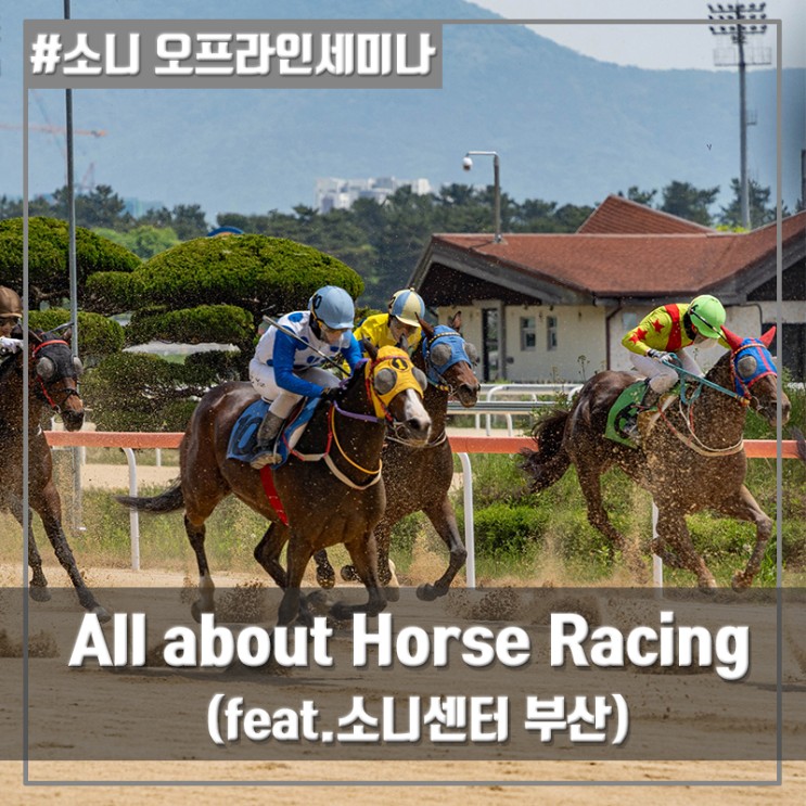 소니 오프라인 세미나 - All about Horse Racing