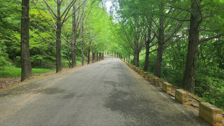  조용한 산책