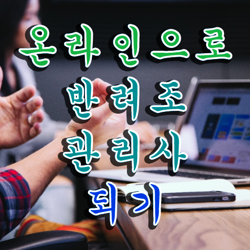  코뉴어 앵무새 먹이 , 반려조관리사 자격증 준비한 방법 확인하고 가세요