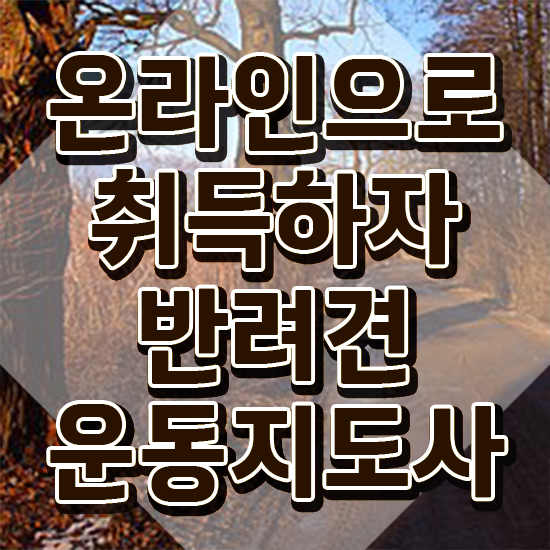  반려견운동지도사 교육 , 1달 만에 반려견운동지도사 합격한 후기