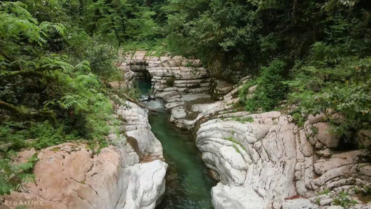  축산산업기사 응시조건 인강으로 빠르게 준비한 방법