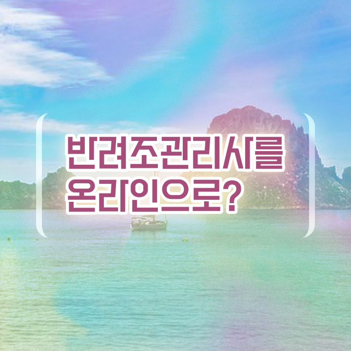  금강앵무분양 , 반려조관리사 자격증 한달 만에 합격한 비법 및 경력 활용 방안