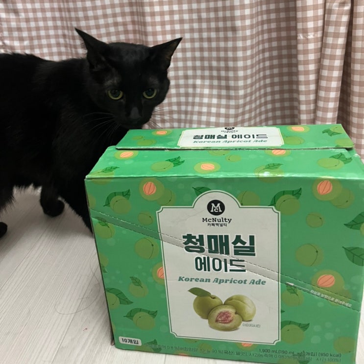  밥먹을때 먹기 좋은 맥널티 청매실 에이드 추천