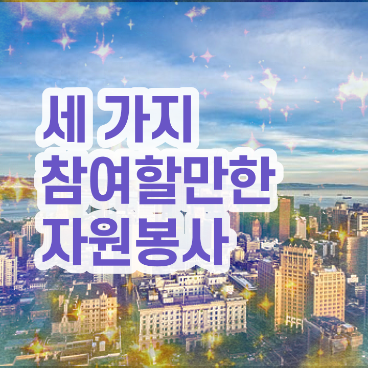  안내견 자원봉사 , 자원봉사지도사 자격증 20일 만에 학습 필수 정보
