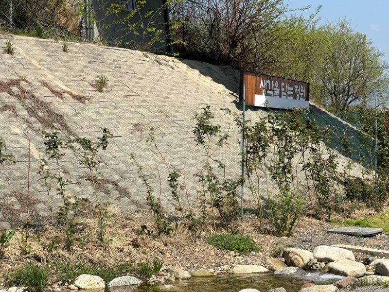 사진 6