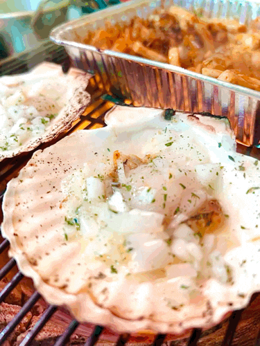  [부산 맛집] 닥치라 누나 / 부산 태종대 조개구이, 태종대 자갈마당 원조조개구이촌 현지인 추천 동삼동 맛집