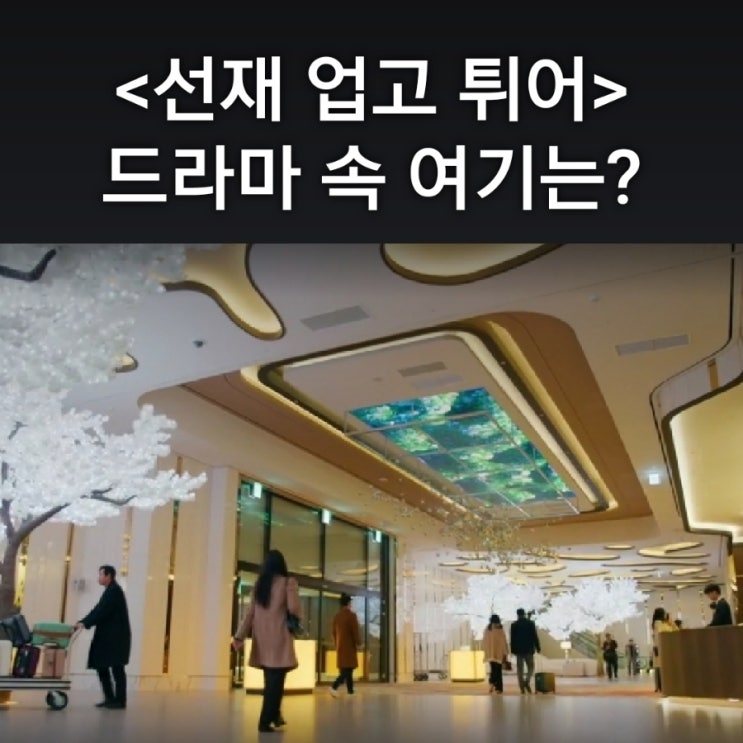[드라마 속 여기] tvN 선재 업고 튀어 촬영지_솔이 다니는... 