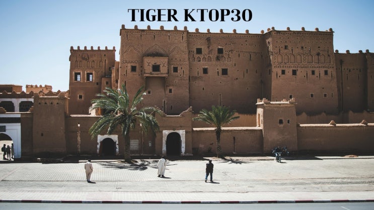  TIGER KTOP30/228820