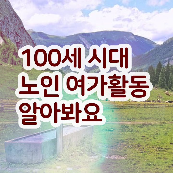  노인여가 활동지도사 , 응시자격 없이 노인여가활동지도사 합격 후기