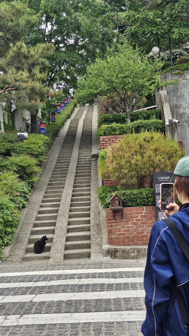 봉사하고 답사 다녀온 김바닐라씨 일상