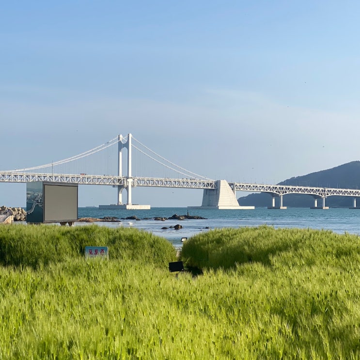  2024년 5월 광안리 해변영화관 상영스케줄