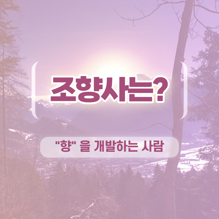  조향사 강의 , 20일 만에 조향사자격증 합격한 후기