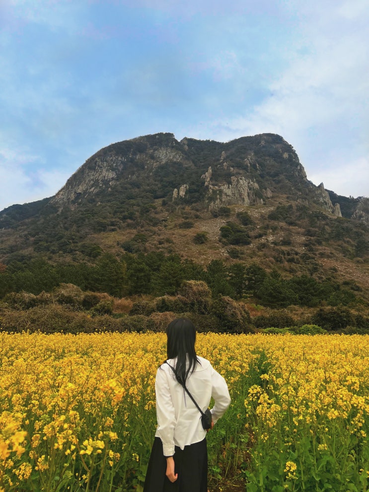  나 혼자 제주도 뚜벅이 여행기 - 3