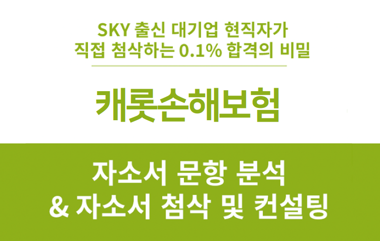 캐롯손해보험 인턴 채용 자소서 문항 분석, 제휴마케팅 직무 소개