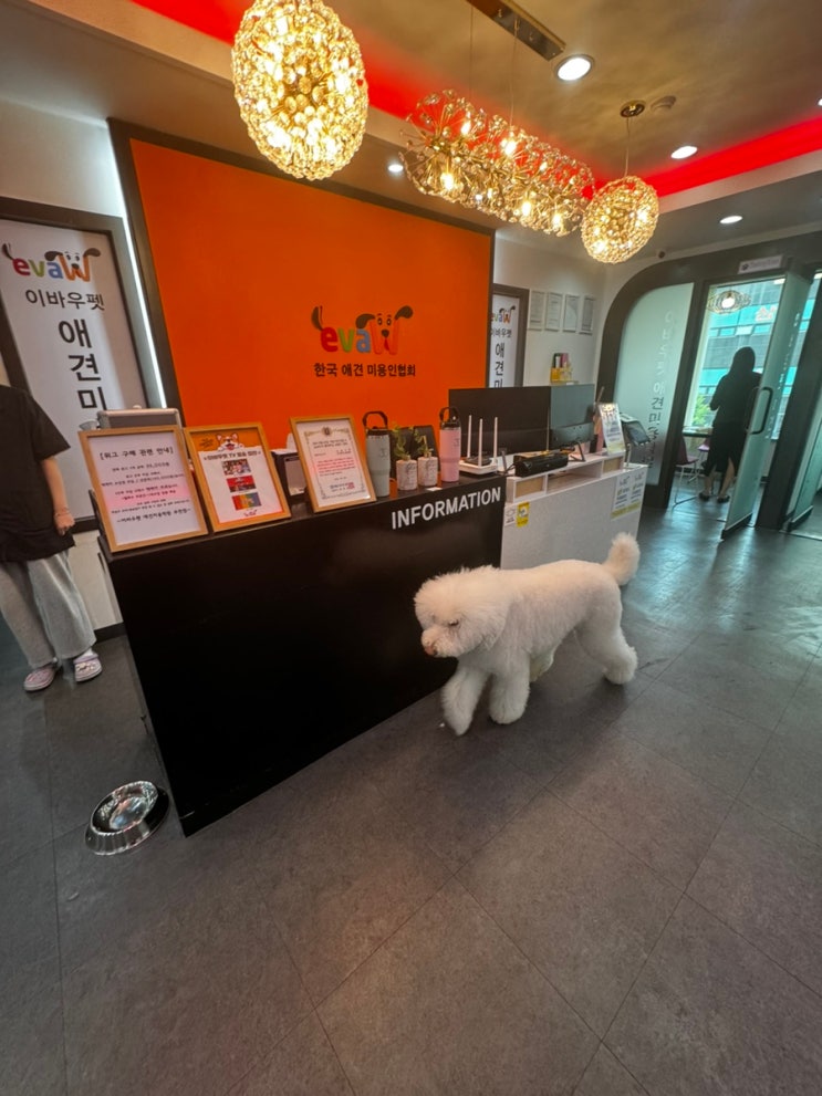  부천애견미용학원 국비지원 장학지원 차이점은?