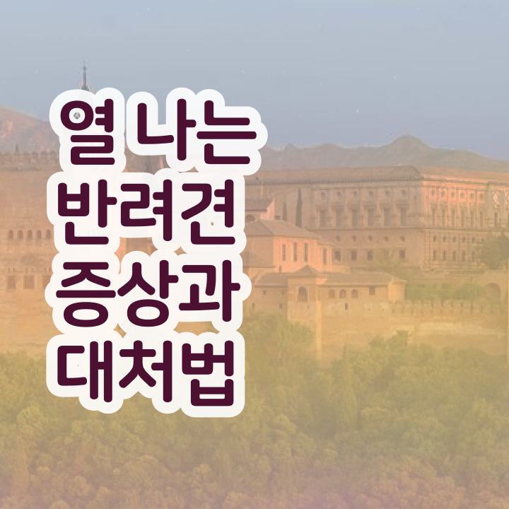  반려동물 등록 확인 , 반려동물관리사 자격증 응시자격 없이 합격 전략 확인하세요