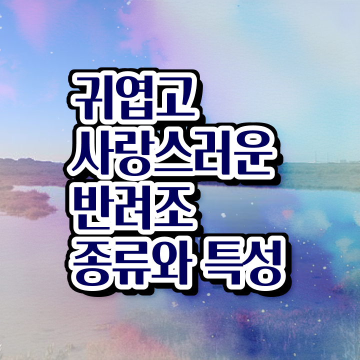  앵무새입양 , 반려조관리사 자격증 취득한 노하우 체크해보세요