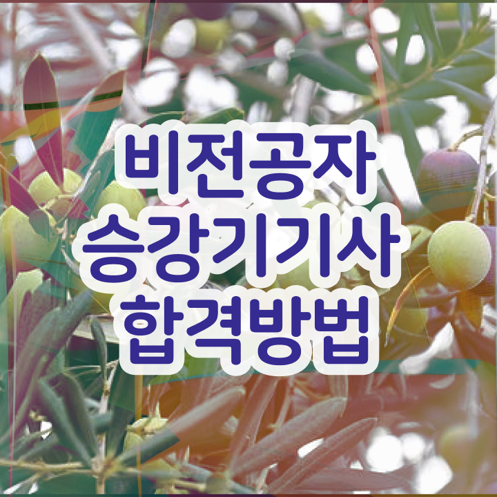  승강기기사 필기 승강기기사 응시자격 온라인으로 5달만에 준비하는 과정
