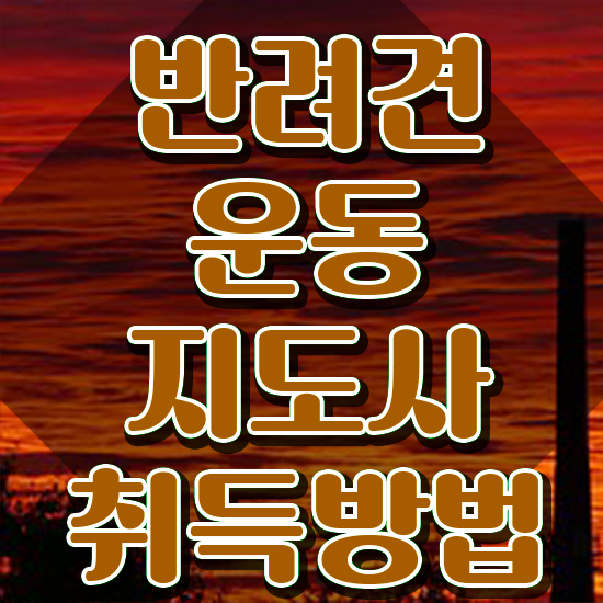  반려견운동지도사 무료 특강 , 반려견운동지도사 온라인으로 손쉽게 취득 노하우