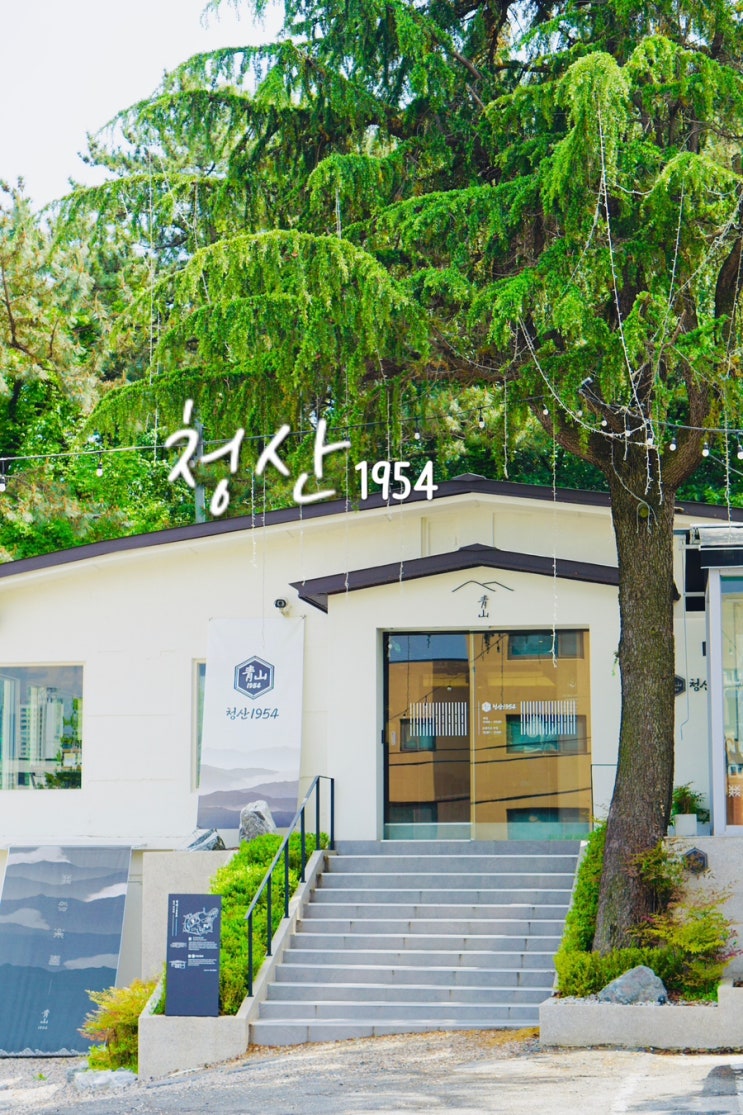  부산 광안리 맛집 추천 분위기 좋은 청산1954