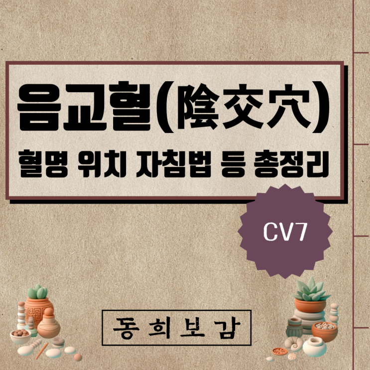  음교혈(陰交穴) CV7, 소속경맥 혈명 위치 특성 자침법 등 총정리
