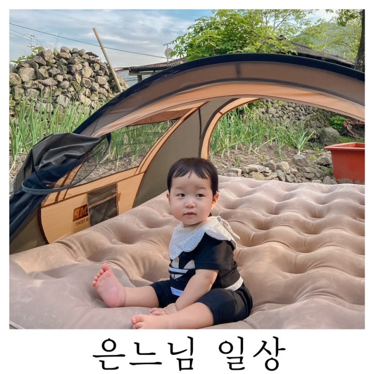  [은느님 일상]이젠 어린이 모습이 보이기도 한 구찌헌