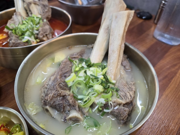  거제 아이와 아주동 현지인 맛집 왕갈비 육개장 맛집  아주동 청춘 육개장