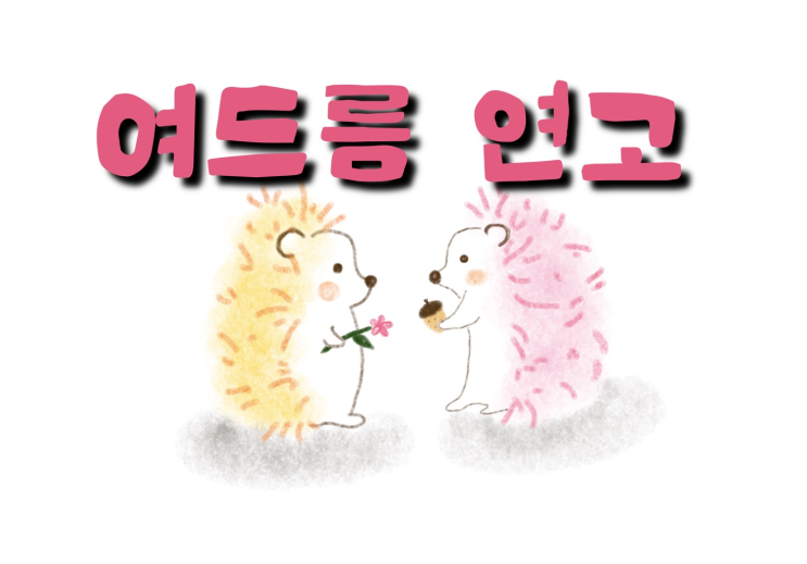  피부과 안가도 되는 약국용 여드름 연고 - 에크린겔&에크논크림