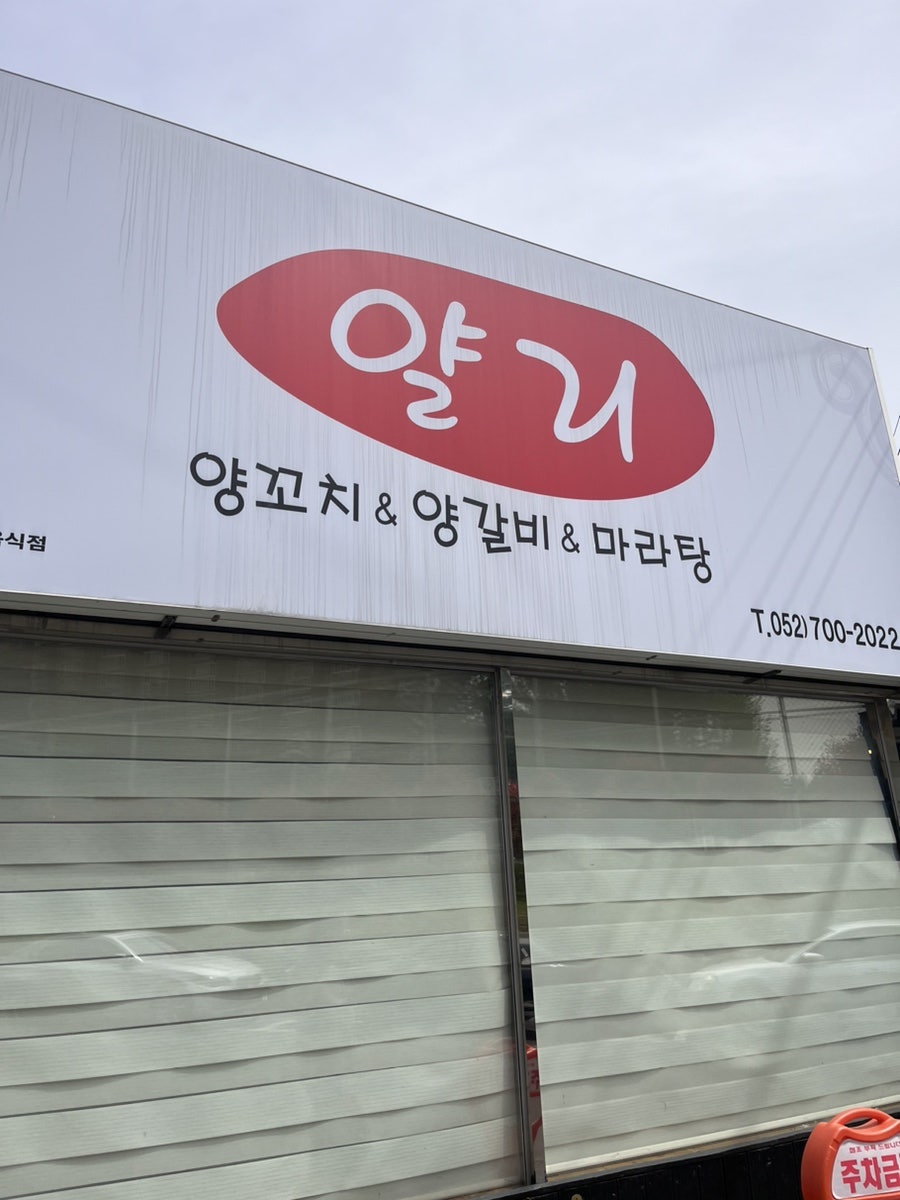 얄리 사진 1