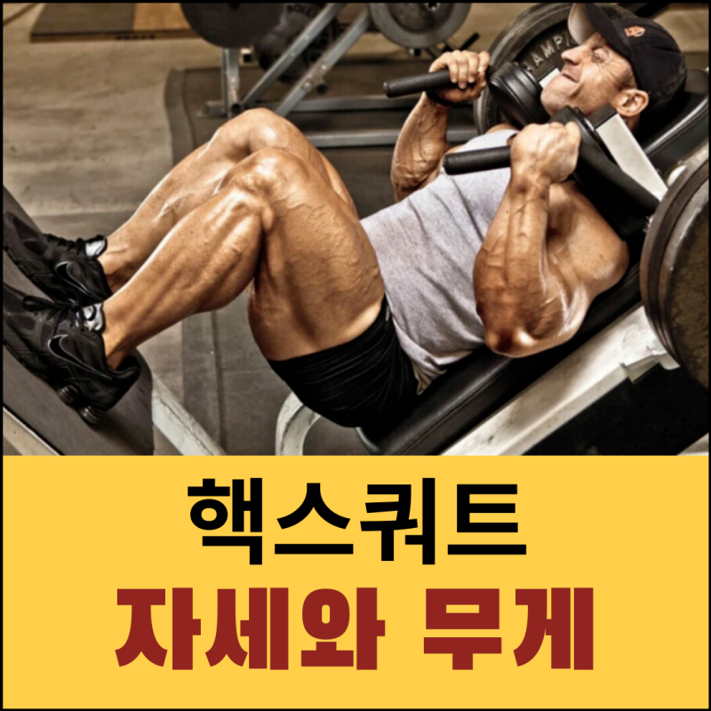 핵스쿼트 머신 무게 자세 초보자를 위한 가이드