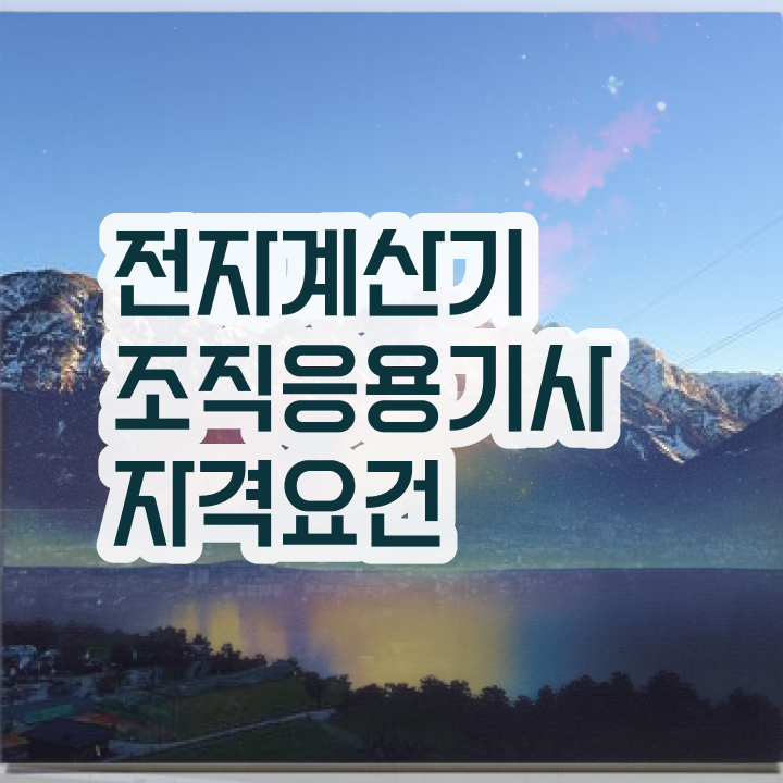  전자계산기조직응용기사 기간 전자계산기조직응용기사 시험응시조건 온라인으로 15주만에 끝낸 노하우