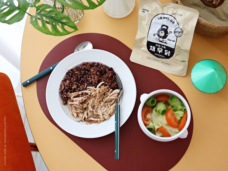  실온 닭가슴살 채우닭 식단관리도 간편하고 맛있게