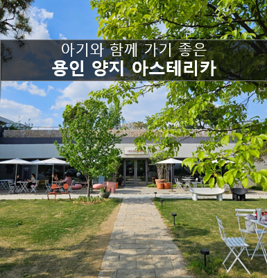  특별한 의자들을 볼 수 있는 아기랑 갈만한 용인카페 양지 아스테리카 바이 더체어