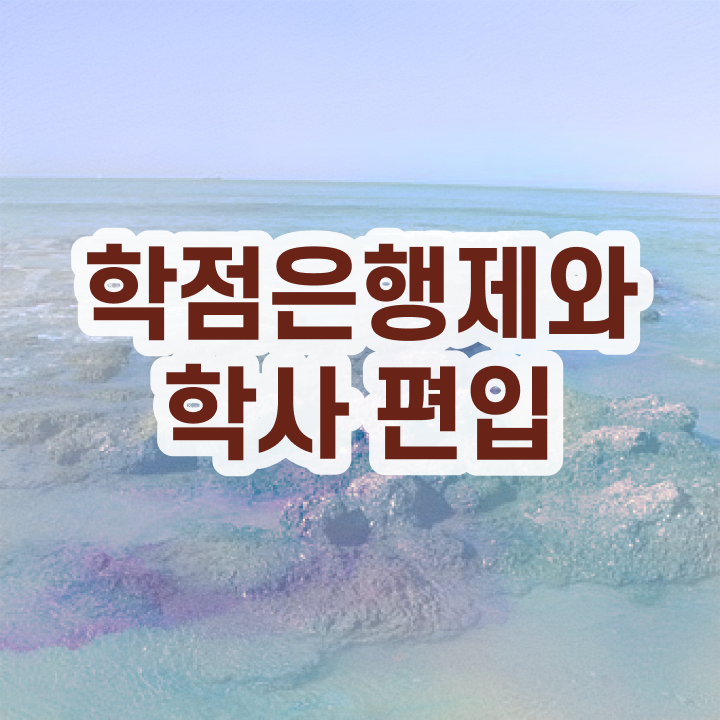  학점은행제학사편입 , 학은제 멘토 추천받고 목표였던 학사 학위 얻었어요