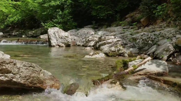  조경산업기사 응시자격 조경산업기사 시험자격 독학으로 15주 동안 준비한 전략