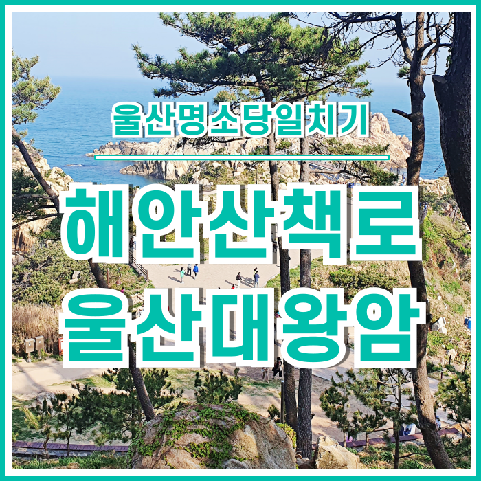  [울산여행] 울산의 으뜸가는 해안산책로, 울산대왕암 with 출렁다리