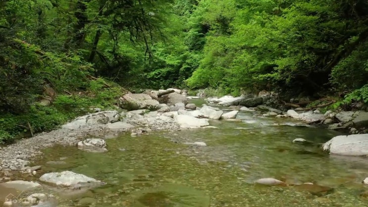  보육교사2급자격증 , 온라인으로 실무경력 없어도 간편하게 준비하는 전략