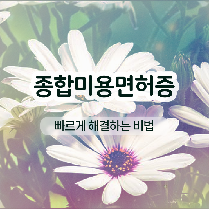  반영구학원 비용 , 눈썹 반영구 창업 하나도 모른다면 준비해야 하는 자격증 및 팁